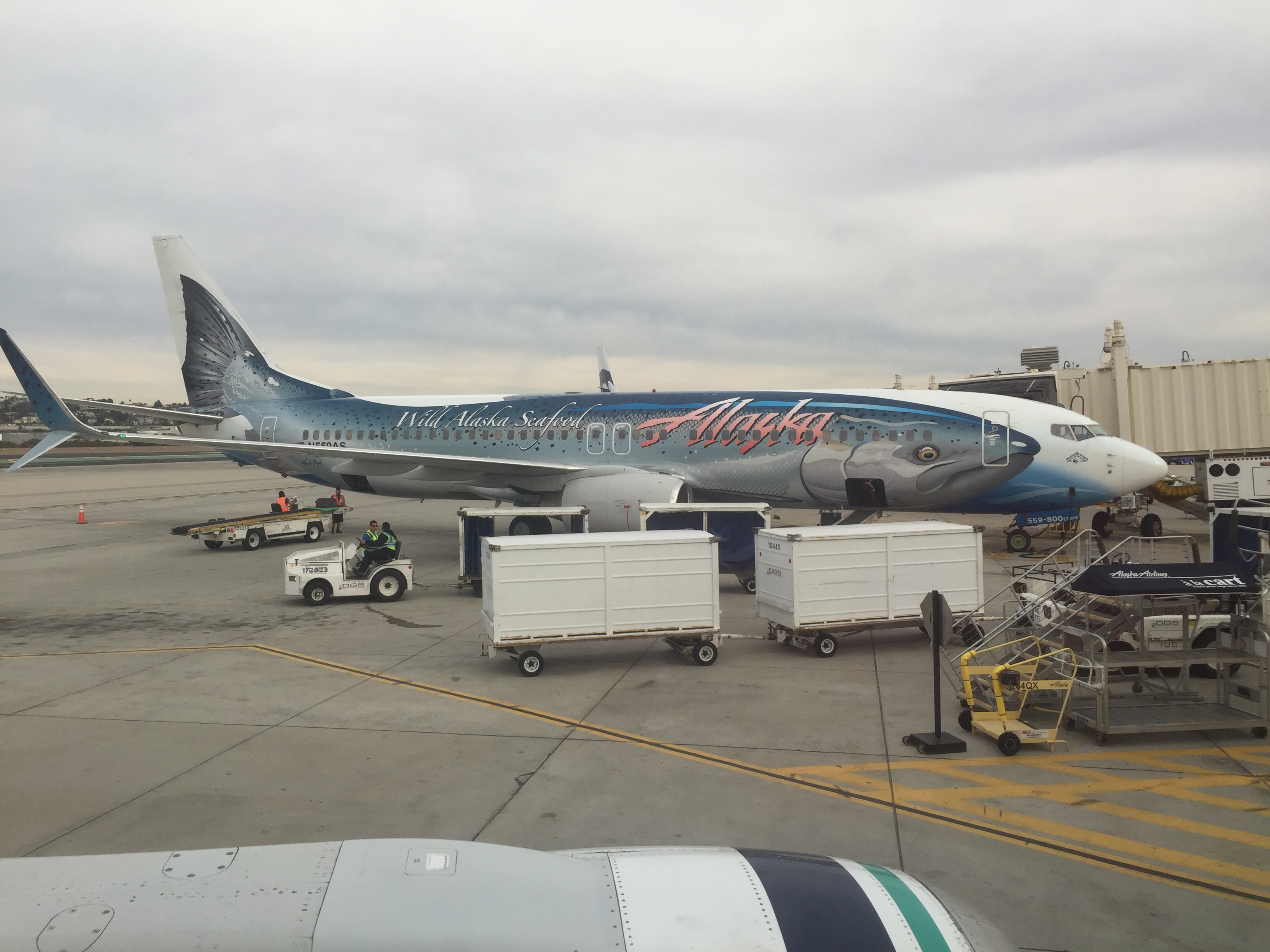 Alaska Airlines Salmon37 plane